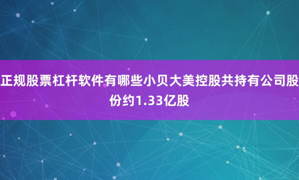 正规股票杠杆软件有哪些小贝大美控股共持有公司股份约1.33亿股